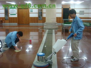 北京專業保潔服務全解析 小營、惠新西街、亞運村及擦玻璃地毯清洗